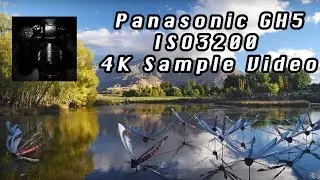 Panasonic GH5 - ISO 3200 4K sample video (unedited)