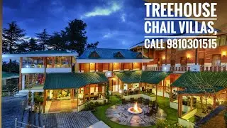 Treehouse Chail Villas Hotel || Where To Stay In Chail || Luxury Hotel & Villas In Chail Himachal