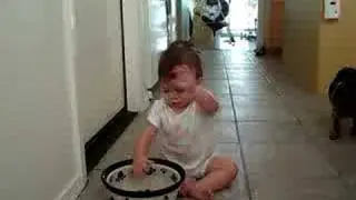 The Dog Bowl Incident