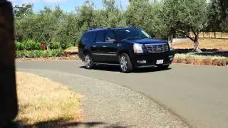 NV Tours (Napa Valley Limo Service)
