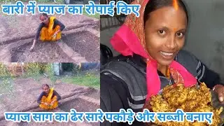 बारी में प्याज रोपाई किए🥰 || प्याज साग का ढेर सारा पकौड़ी बनाए😋|| #ganvkilifestyle #meenasiddhuvlogs