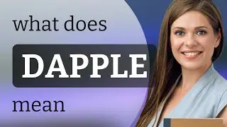 Dapple &mdash; DAPPLE definition