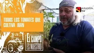 No solo de tomate Perón vive el hombre