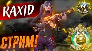 Практические игры FPP-Universe