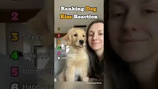 Ranking Dogs Reaction to Kisses 😘🐶