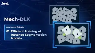 Advanced Tutorials: 01 Efficient Training of Instance Segmentation Models