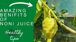 பல நோய்களை குணமாக்கும் நோனி ஜூஸ் | Noni Juice | Tamil | Recipe