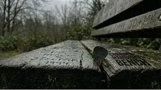 Kurt Cobain's Memorial Has No Headstone - Just a Bench