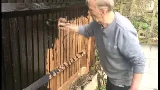 Preserve Your Wooden Fence With Engine Oil Part 1