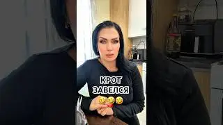 #мем#юмор#смешно#ViralShorts#MustWatch#TikTokComedy#ShortsOfTheDay#EpicFail #lol#pov#trending#funny