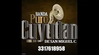 BANDA PURO CUYUTLAN 2019 [ LA MEJOR DE TODAS ] EN VIVO  La Guarecita 3317618958