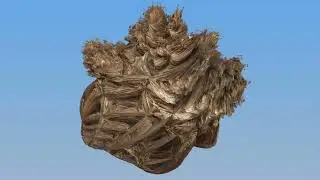 Mixed Powers - asymmetrical Riemandelettuce morph