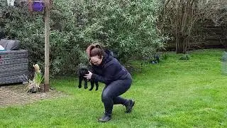 puppytest 1