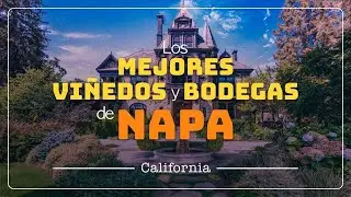 NAPA VALLEY | LOS MEJORES VIÑEDOS