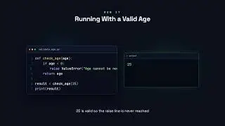 Raising Exceptions - Python for Beginners