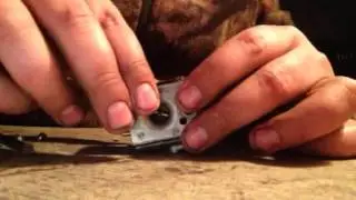 2 Cycle Carburetor Gasket And Diaphragm Configuration
