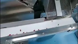 TM250 softgel capsule filling machine