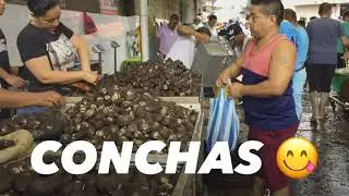 MMERCADO DE MARISCOS Santo Domingo - Ecuador