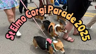 St. Elmo Corgi Parade 2025