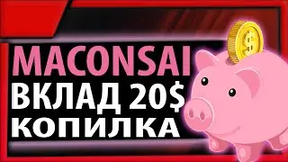 Maconsai.com новый проект с функцией копилки, вклад 20$