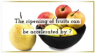 MCQ - Food Tech #foodscience #foodprocessing #foodpreservation #foodchemistry #foodtechnologist