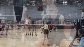 17 Longhorn Highlight