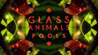 Glass Animals - 