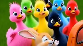 Masha & the Rainbow Duck Truck Adventure