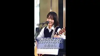小杉ゆん「今宵の月のように」(エレファントカシマシ) '25/5/29