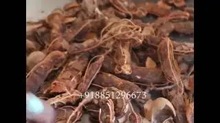 Tamarind peeler