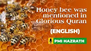 Honey bee was mentioned in Glorious Quran. PMI Hazrath. English.