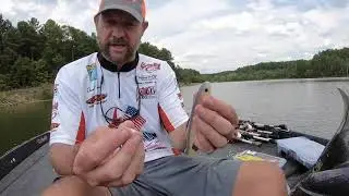 David Kilgore on How To Rig a Shadalicious Swimbait