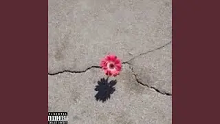 Fall Thru