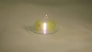 Whole grape dimer plasma in commercial microwave oven 2017