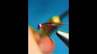 Pheasant Tail Jig