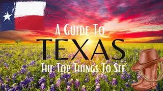 A Guide to the Top Things to See in Texas