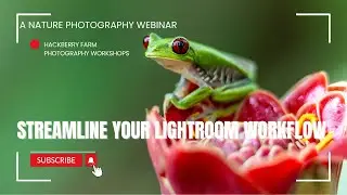 Streamline your Lightroom Workflow - A Hackberry Farm Nature Photography Workshop webinar