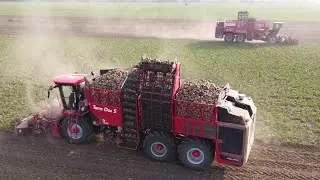 JMG Agro - Vyorávanie Cukrovej Repy [2× Holmer Terra Dos T4-40/ T5-40]