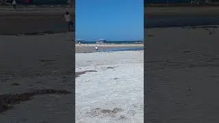 seashell hunting on Christmas eve
