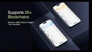 Expert Crypto Wallet Development in Action | Built by Alpharive