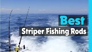 ✅Топ-5: Лучшие удилища для ловли полосатого окуня в 2025 году 🎣 [Комплект Amazon Striped Bass]