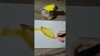 |Satisfying bird drawing|🌸  #newartist #artist #drawing #traditionaldrawing #art #markerillustration