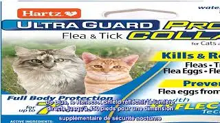 Bon produit -  Hartz UltraGuard Pro Collier anti-puces et anti-tiques pour chats et chatons