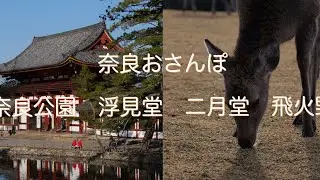2025年12月28日奈良公園、飛火野、二月堂、浮見堂、おさんぽ　Lumix S5Ⅱ