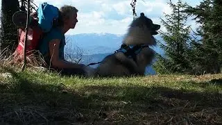 Klenovsk&yacute; Vepor od Tlst&eacute;ho Javora