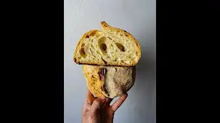 La pizza classica e contemporanea: tecniche di impasti. Webinar gratuito per pizzaioli.