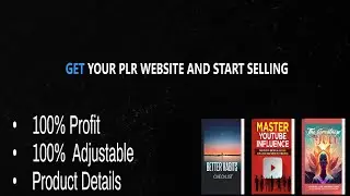 The PLR Franchise: Best PLR Hustle in 2025 (PLR Ebook Supplier)