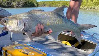 They Are On The Run | Trolling For Blue Salmon