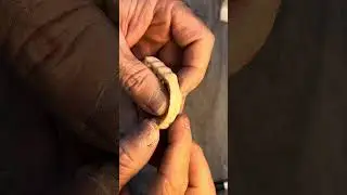 Cutback zircônia 2