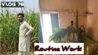 Aj Naye Khait sy Chara Kata | Routine Work.